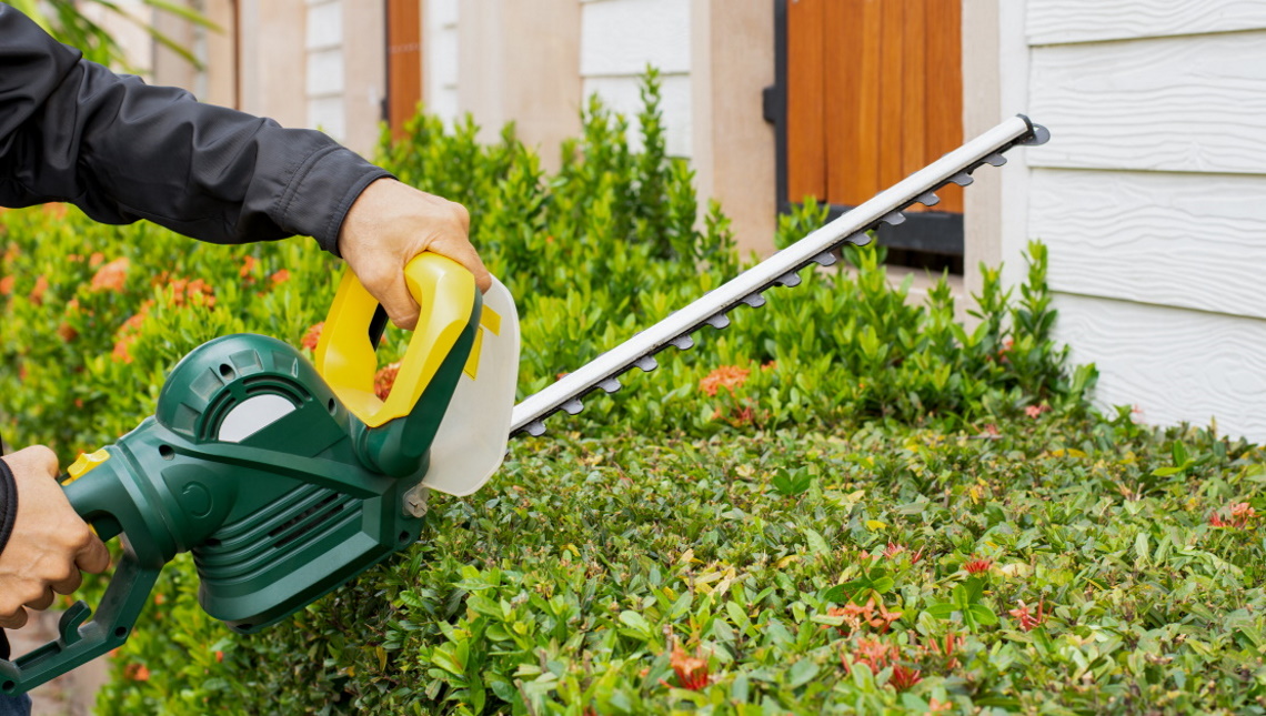 How To Trim Your Hedges Sherman TX How To Trim Your Hedges Sherman TX